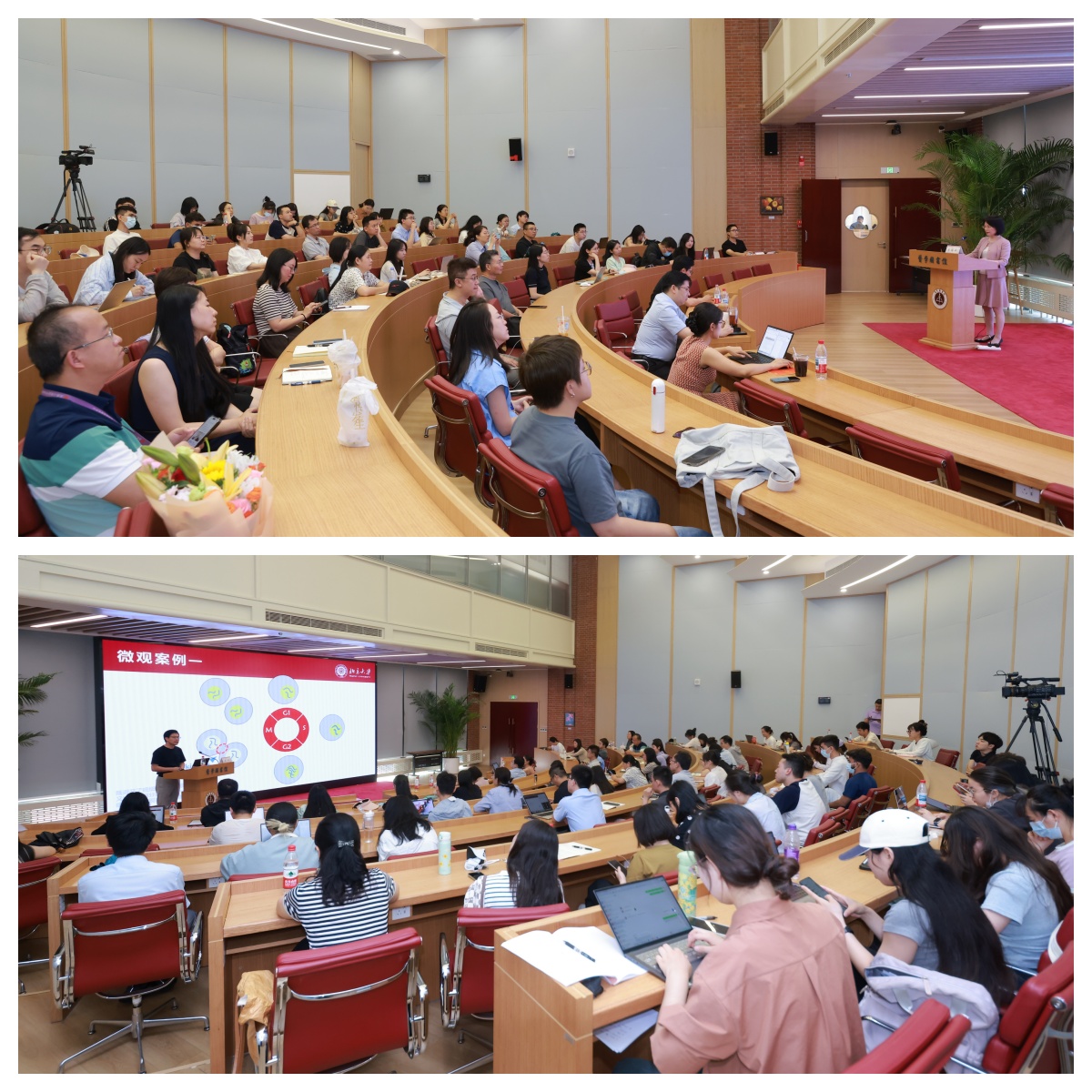 全景拼图1.jpg